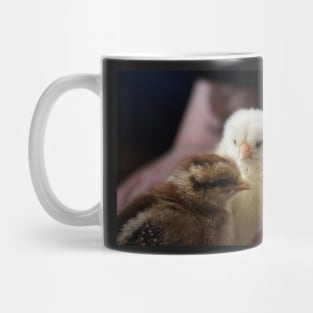 Baby chicks Mug